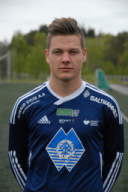 Astall2014AmundStavem